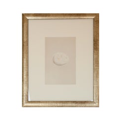 Antique English egg lithograph by Morris