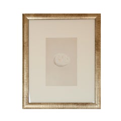Antique English egg lithograph by Morris 11