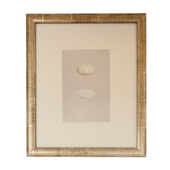 1870's English egg lithograph by Morris