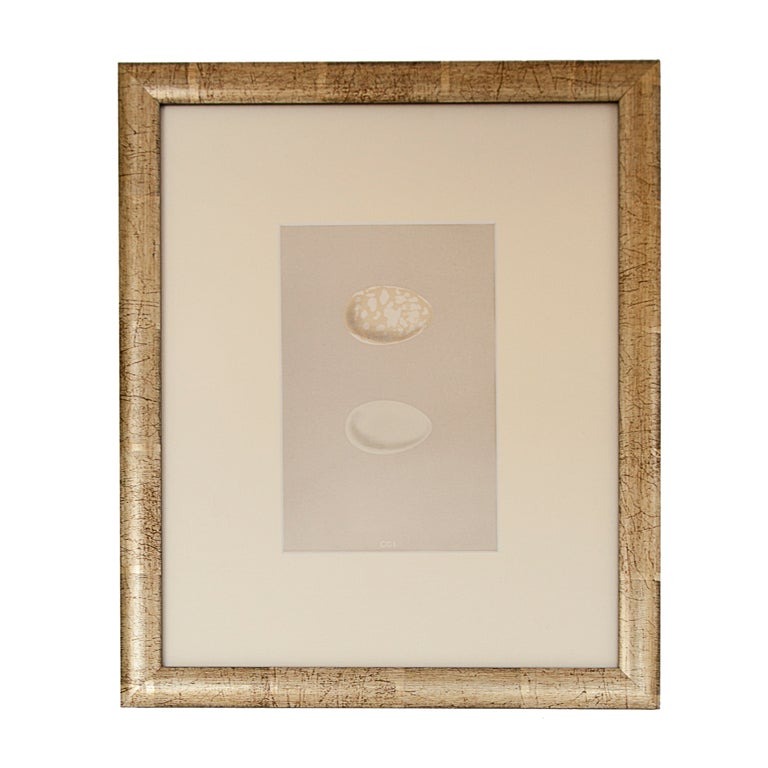 1870's English egg lithograph by Morris For Sale