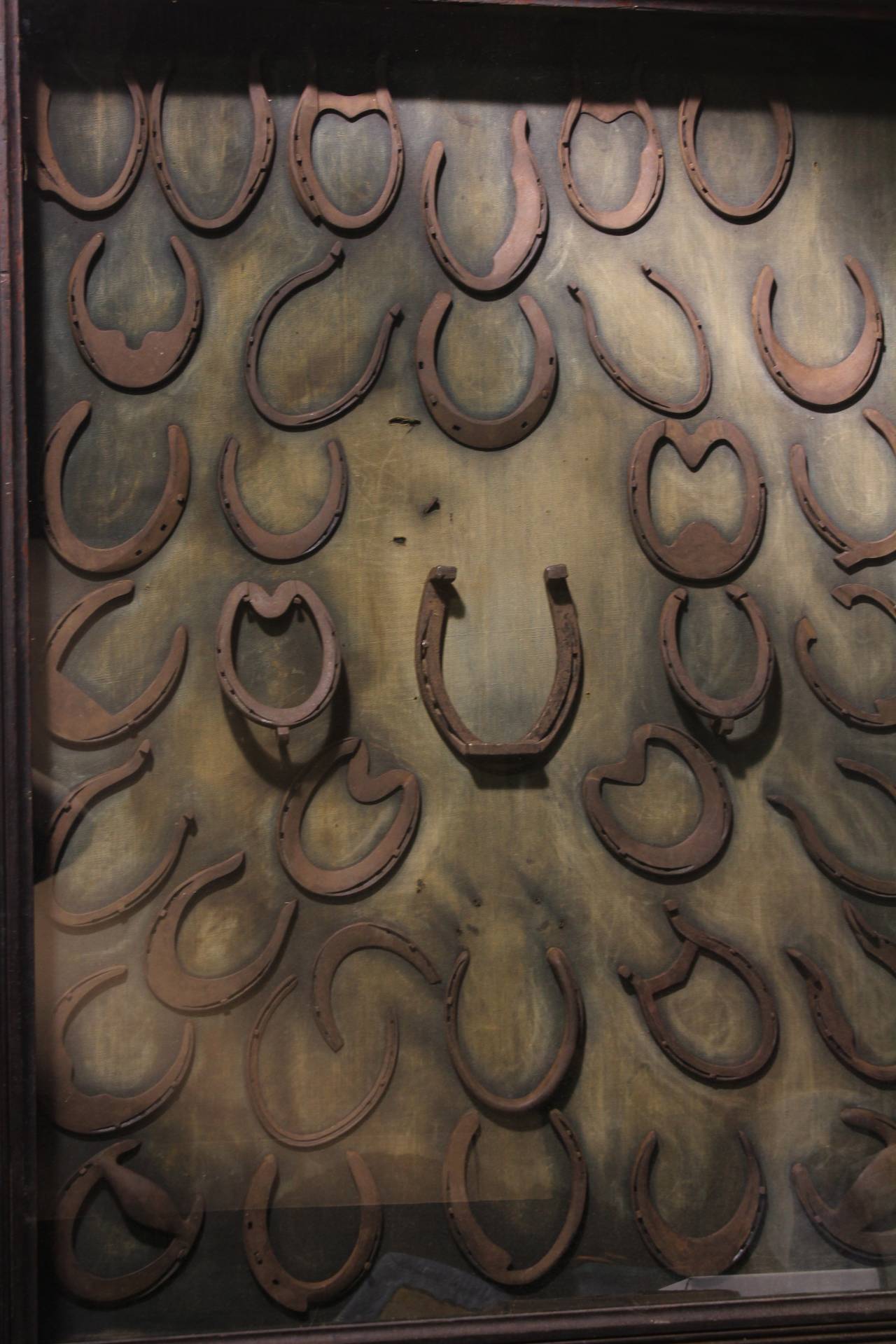 Antique Large Shadow Box with Collection of Iron Horseshoes