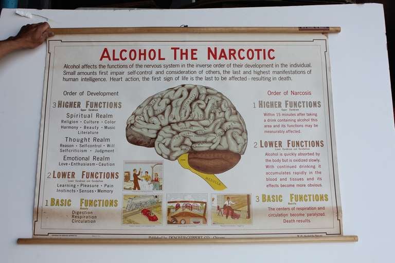 Rare 1930's poster " Alcohol The Narcotic " by Denoyer Geppert Co.