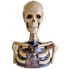 1800's Original Odd Fellows Paper Mache Skeleton Bust