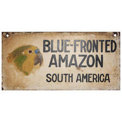 1930s Hand-Painted Sign of "Blue Fronted Amazon" 2