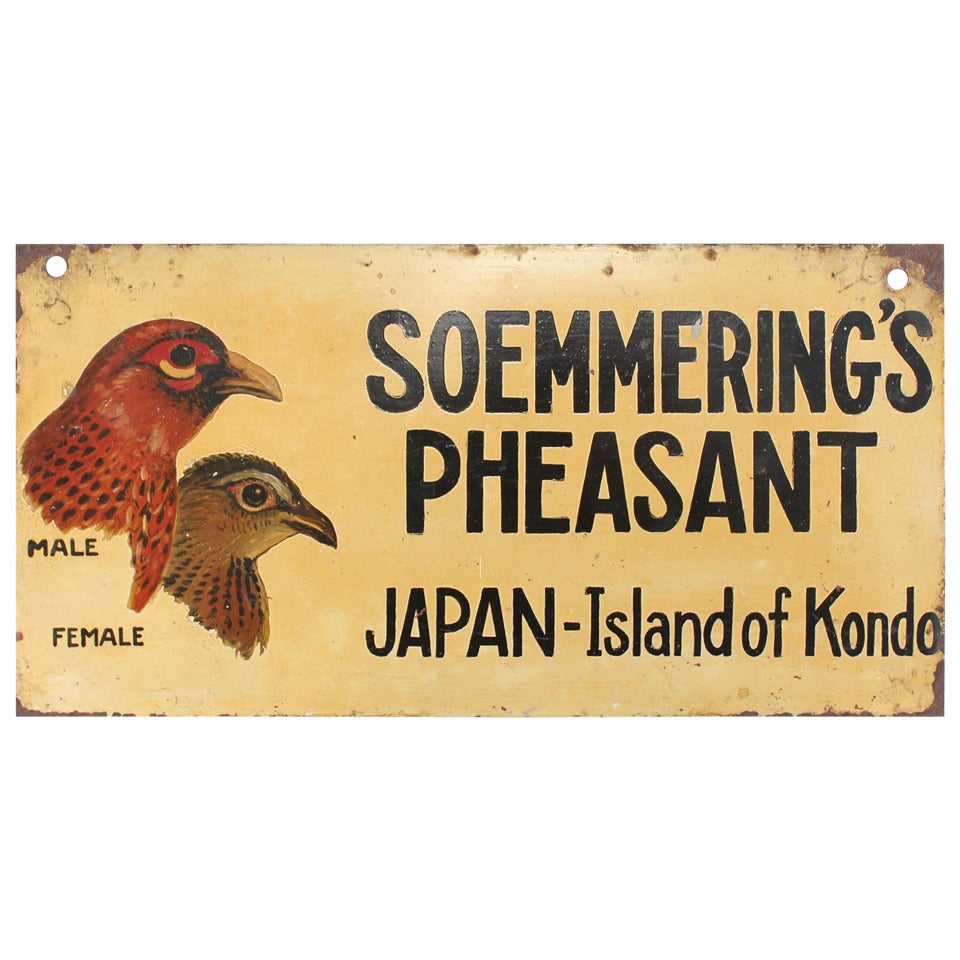 1930s Hand-Painted Sign of "Soemmering's Pheasant" For Sale