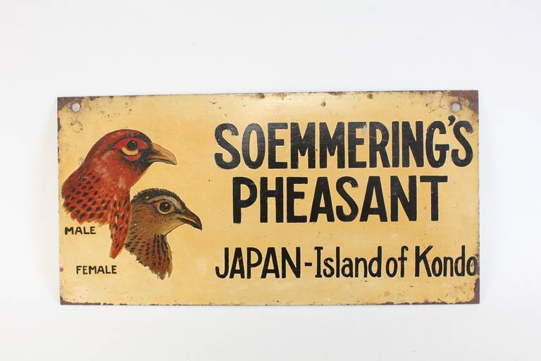 1930s hand-painted metal sign of Soemmering's Pheasant.