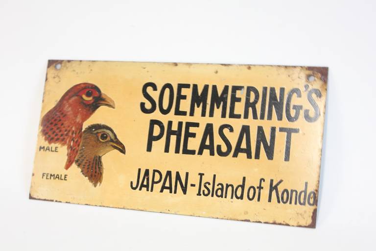 Folk Art 1930s Hand-Painted Sign of 