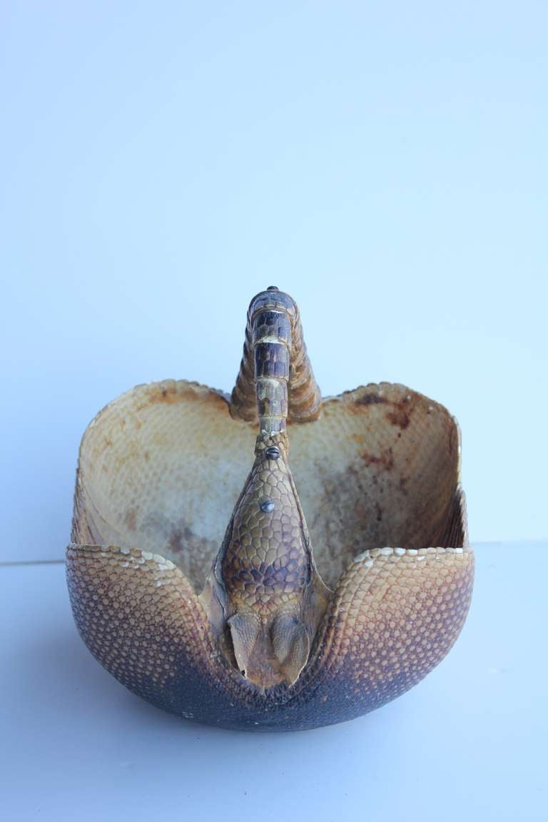 armadillo basket for sale