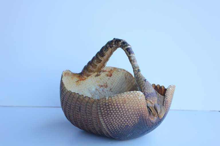 Folk Art 1940's Original Armadillo Basket For Sale