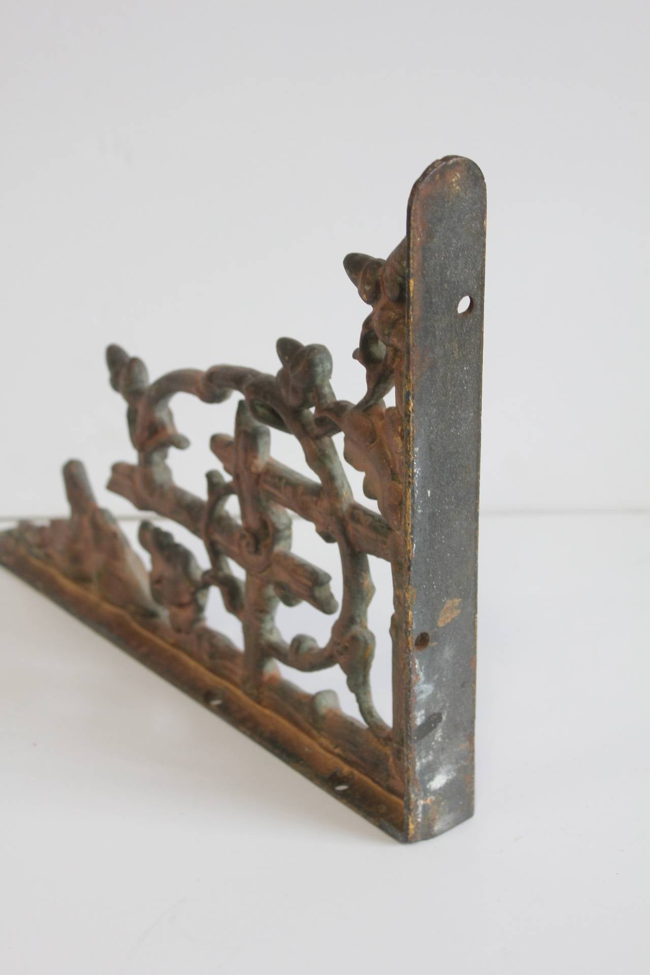 American Antique Cast Iron Wolf and Acorn Wall Brackets
