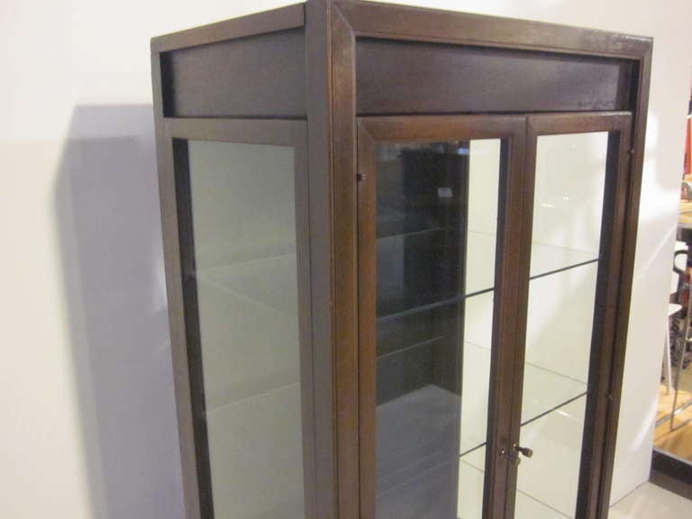 Mid-Century Modern Mid Century Display Cabinet