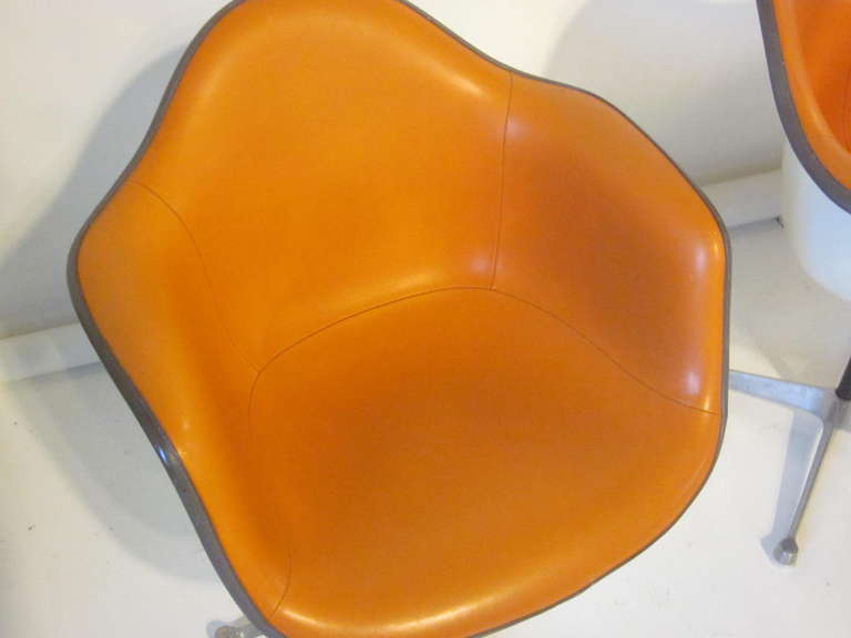 Fiberglass Eames Chairs