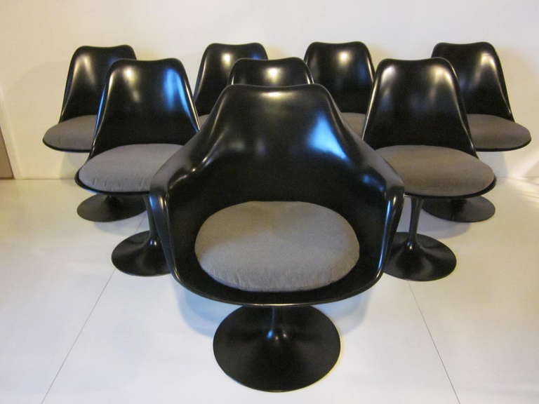 A set of eight Saarinen dining chairs in a satin black finish with gray toned upholstered cushions.There are seven side chairs and one arm chair to the suite.Retains the manufactured labels made by Knoll International.