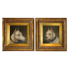 Oil Portraits of Bull Terriers