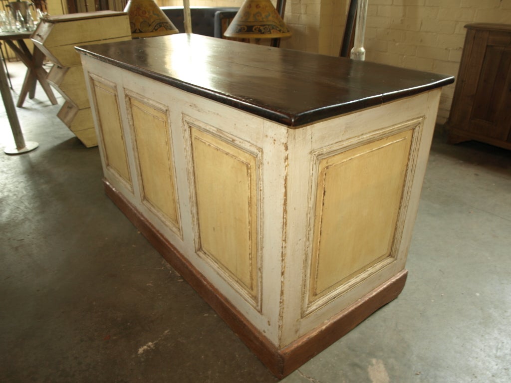 French 19th Century Painted Counter 1