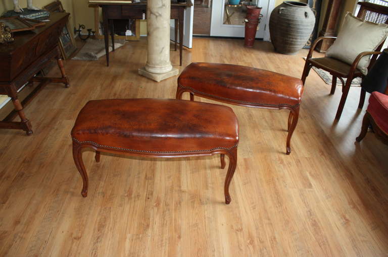 Pair of French Napoleon III Style Benches in Beechwood and Leather
