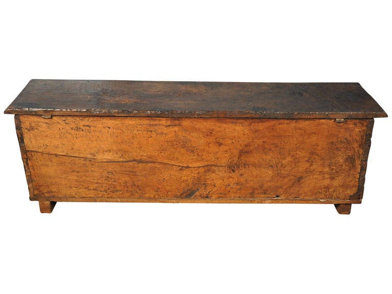 18th Century and Earlier Early 18th Century Coffre or Trunk in Walnut and Chestnut from France