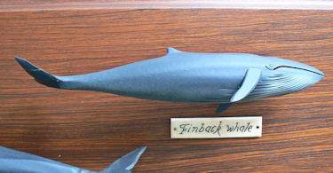 American Vintage Carved Wood Five Spices Whale Display Nautical Folk Art For Sale
