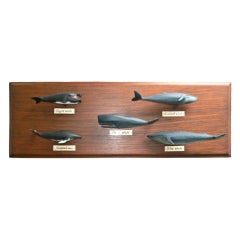 Vintage Carved Wood Five Spices Whale Display Nautical Folk Art