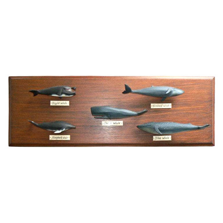 Vintage Carved Wood Five Spices Whale Display Nautical Folk Art For Sale