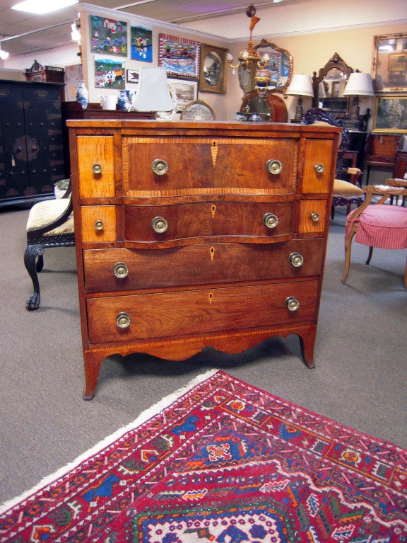 An incredible 1840 Tennessee made bachelor's chest with serpentine front. This whimsical late Federal piece features eye-catching bird's eye maple with walnut banding and splayed feet.