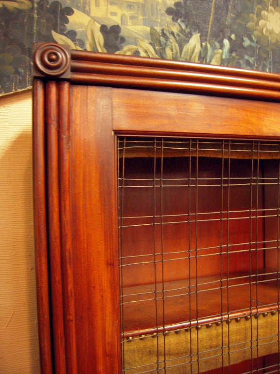 Farmhouse Mahogany Bookcase with Wire Fronted Doors, ca. 1870 1