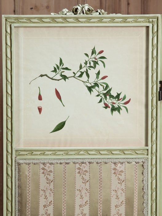 Hand-Carved Antique Italian Neoclassical Hand-Painted Dressing Screen with Colored Engraving