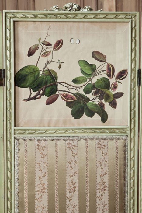Late 19th Century Antique Italian Neoclassical Hand-Painted Dressing Screen with Colored Engraving