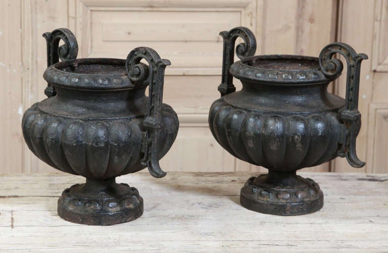 Pair of Antique Cast Iron Jardinieres