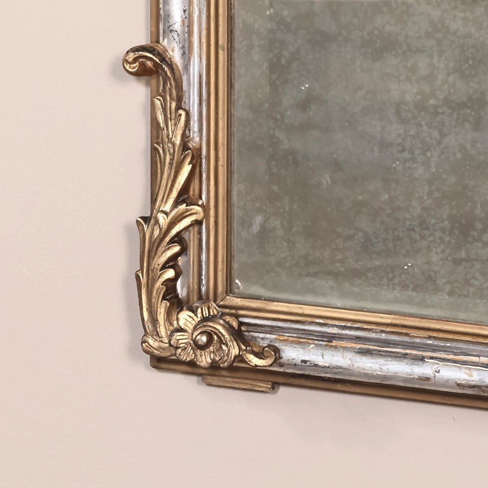 Canvas French 19th Century Louis XV Silver and Gold-Leaf Trumeau