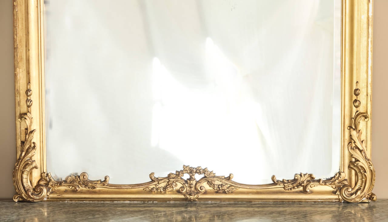Grand 19th Century Napoleon III Period French Gilded Baroque Mirror  3