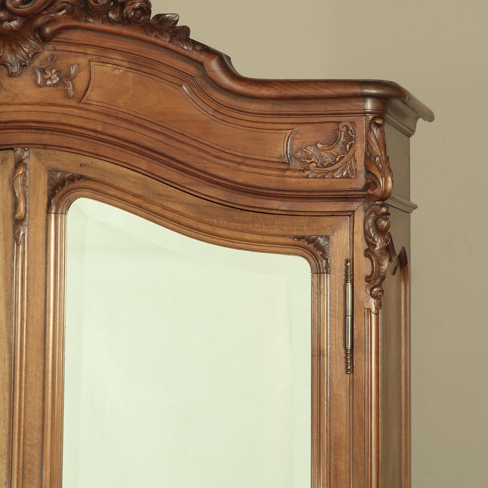 Mirror 19th Century Rococo French Walnut Armoire