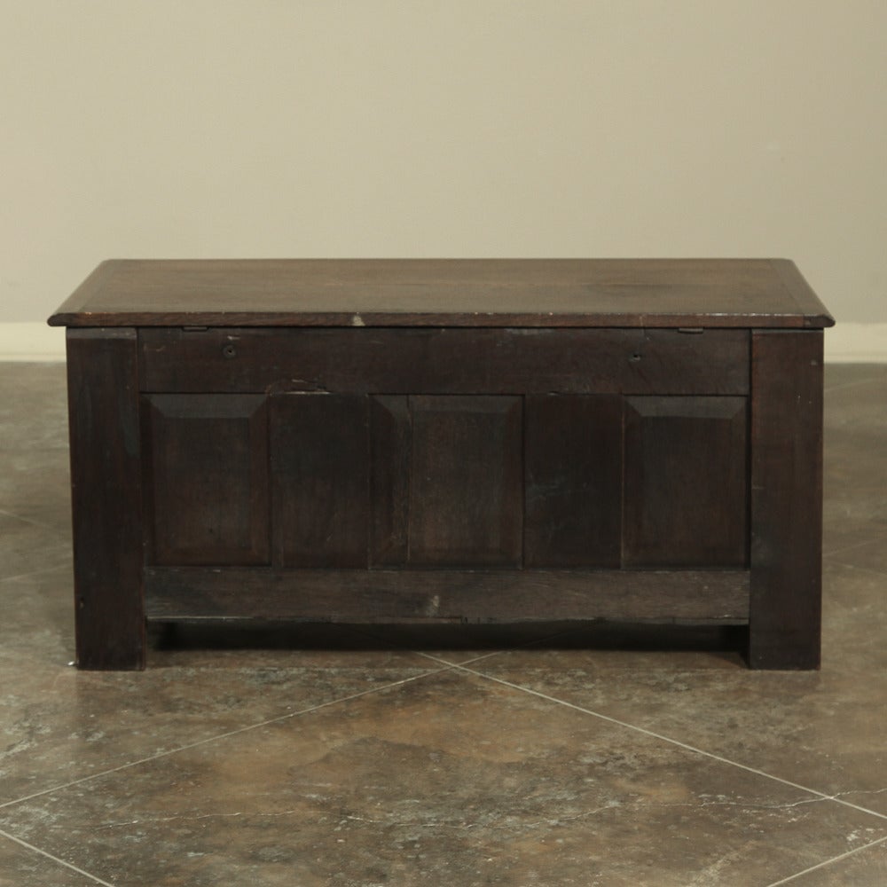 18th Century French Gothic Trunk 4