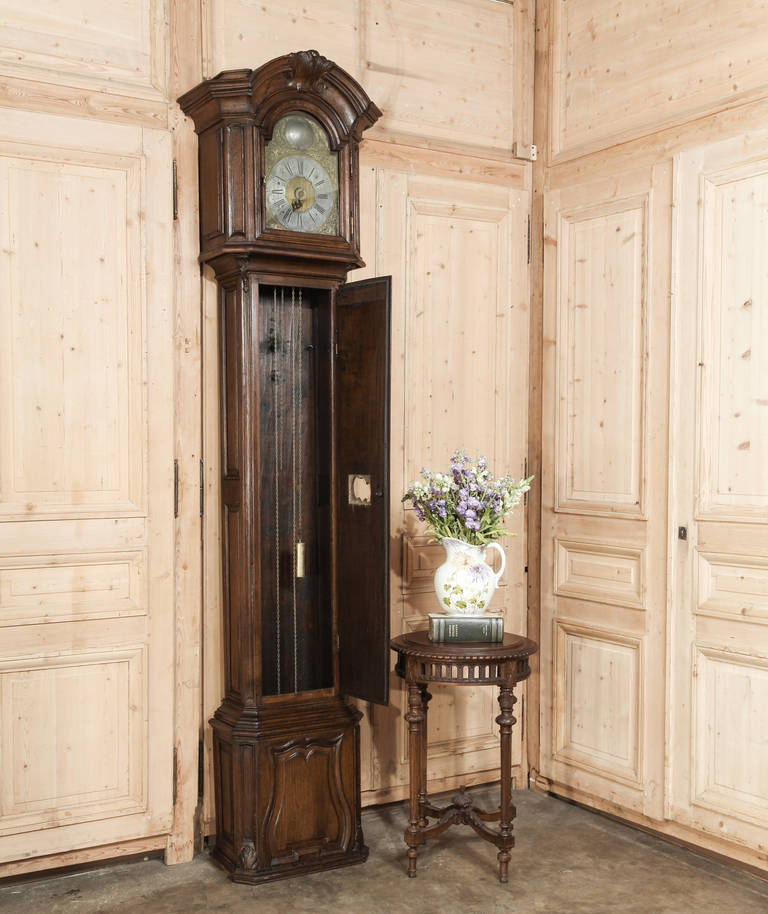 19th Century Antique Liegeoise Longcase Clock