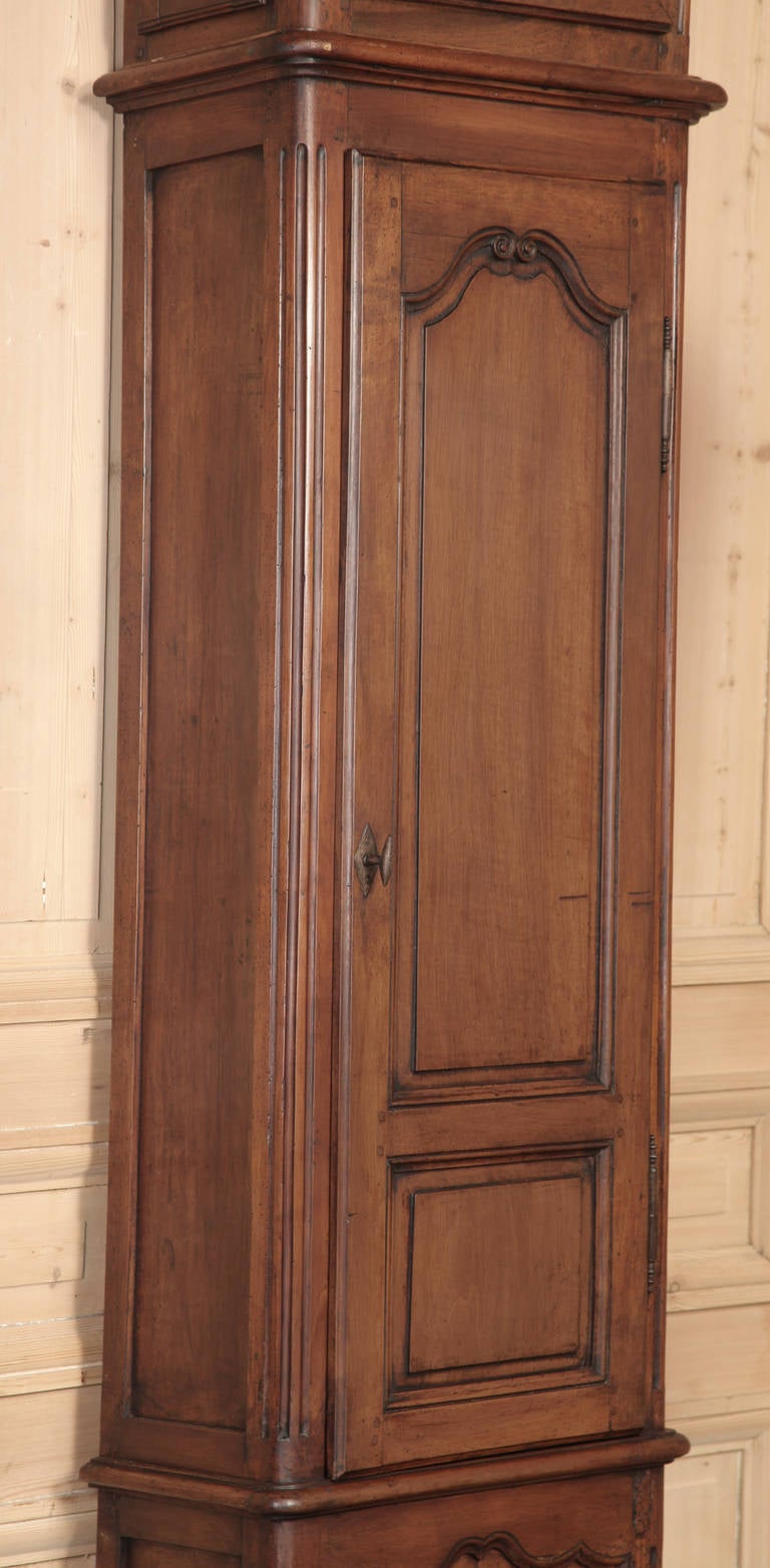 Embossed 19th Century Antique Country French Long Case Clock, circa 1820s