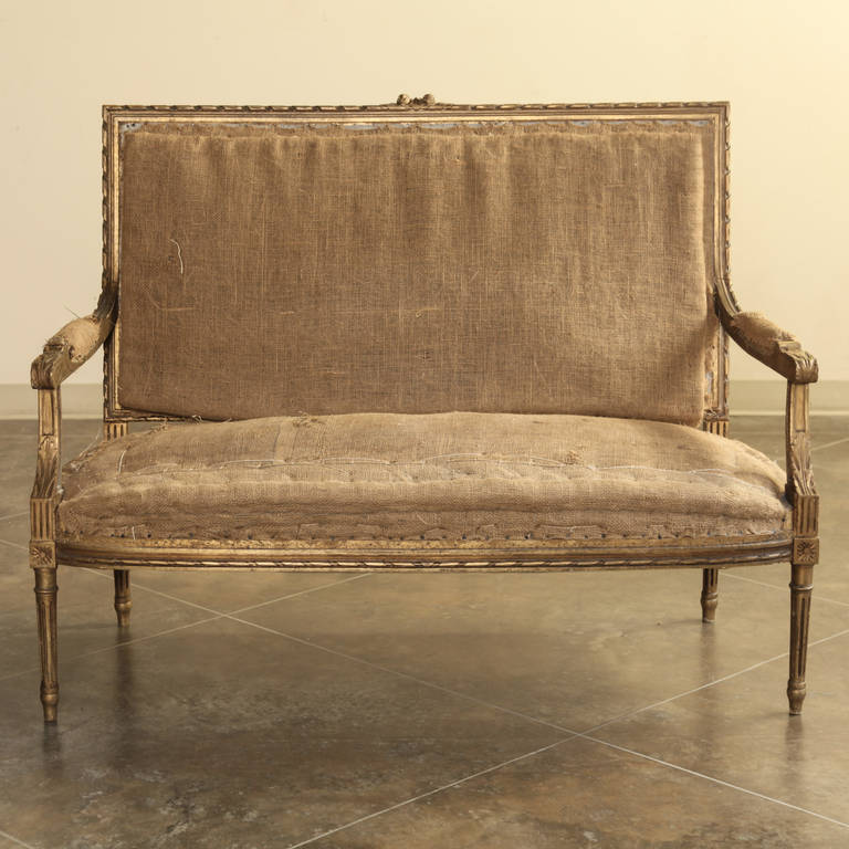 French 19th century Louis XVI Gilded Settee features exquisitely fine carved detail including spiral ribbon, a subtle bow centered on the seatback crown, and acathus plumes on the armrest supports.  Tapered & fluted legs complete the look. 
Circa