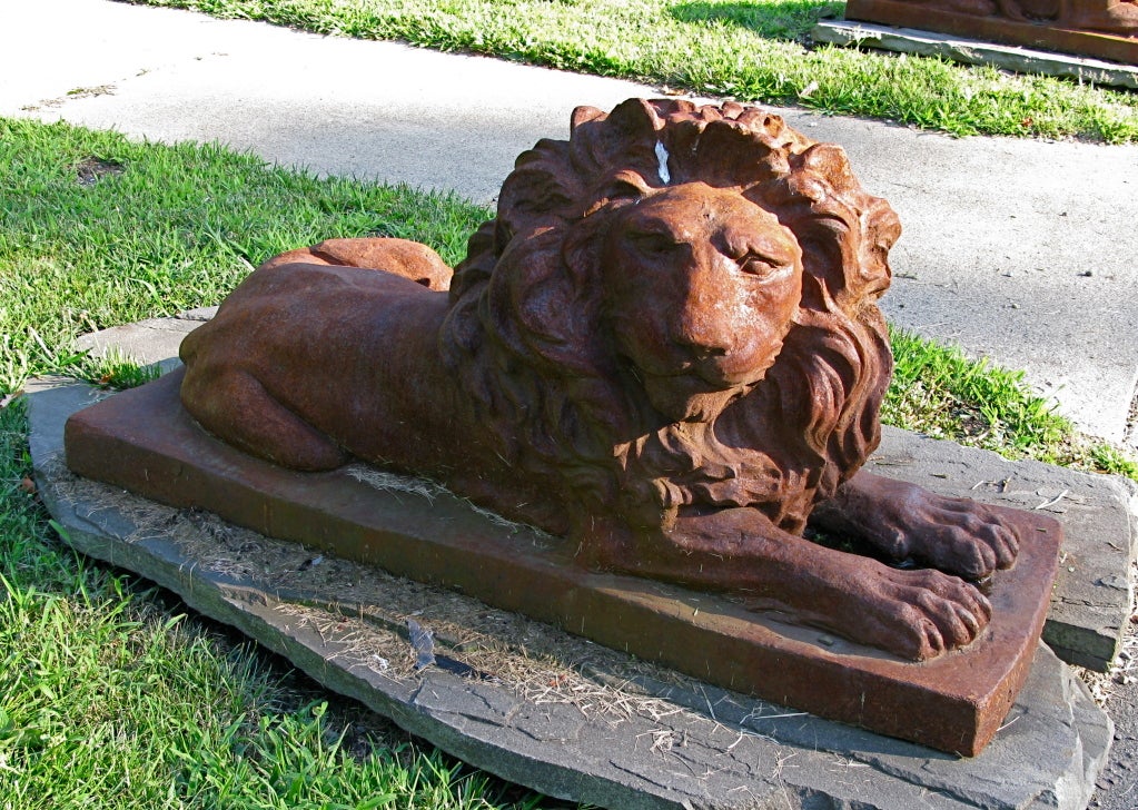 massive cast iron lions.They have been sitting in the front of my house for 10  years. Bodies are dark rust color,i have put clear lacquer once a year on them. One lions looks left, the other to the right.Extremely heavy.