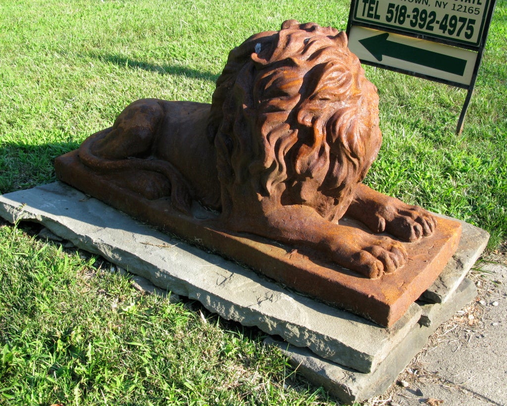 Amazing Large Pair of Cast Iron Lions- Excellent Patina In Good Condition In Hudson, NY