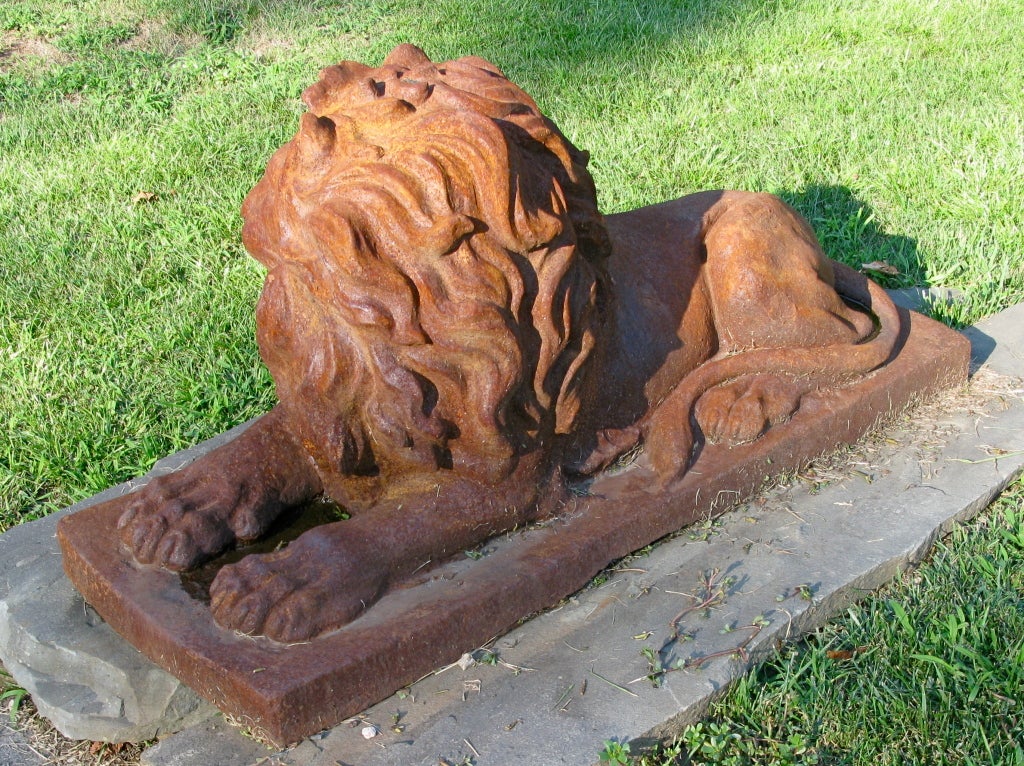 20th Century Amazing Large Pair of Cast Iron Lions- Excellent Patina