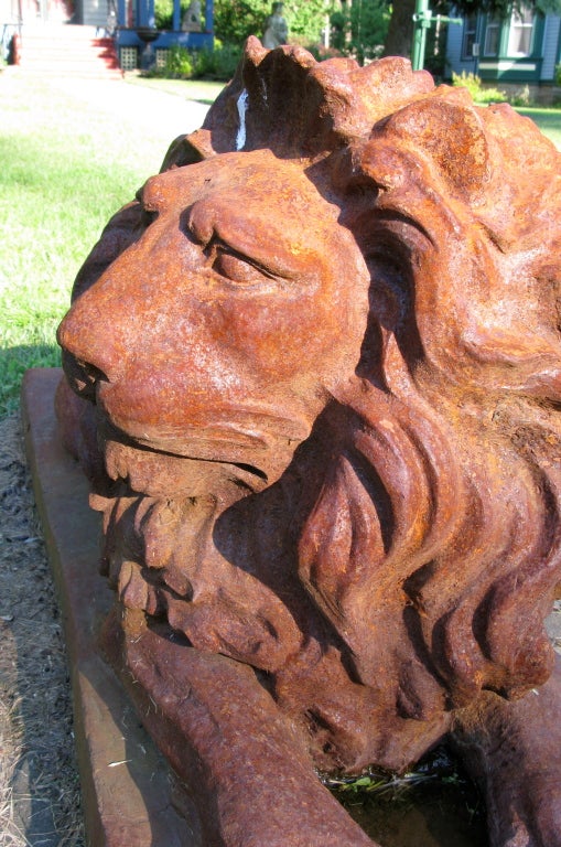 Amazing Large Pair of Cast Iron Lions- Excellent Patina 1