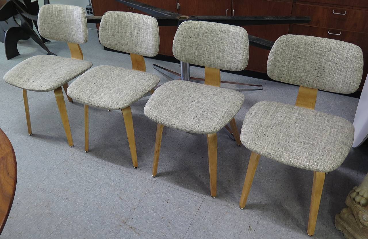 Mid-20th Century 1950 Set of Four Thonet Plywood Chairs