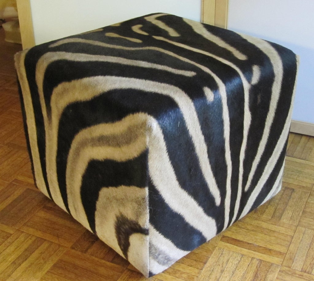 Zebra cube