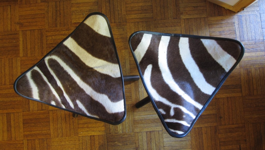 Pair of zebra camping chairs