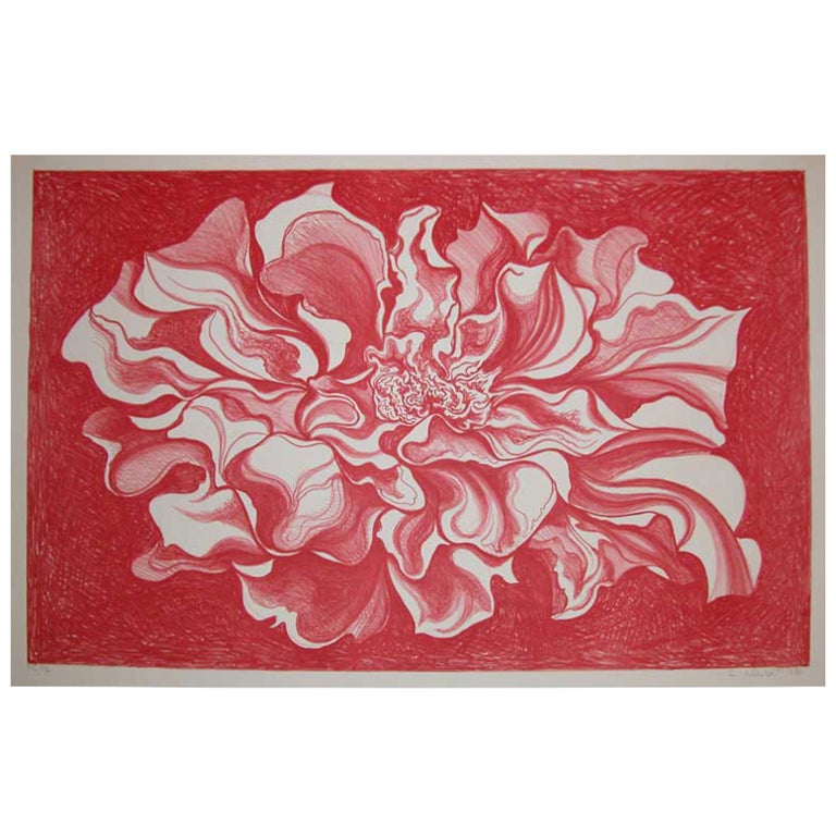 Cabbage Flower in Red by Lowell Nesbitt For Sale