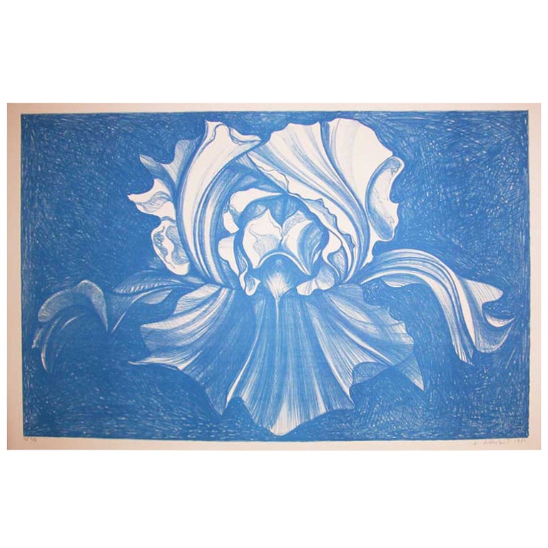 Iris in Royal Blue by Lowell Nesbitt For Sale