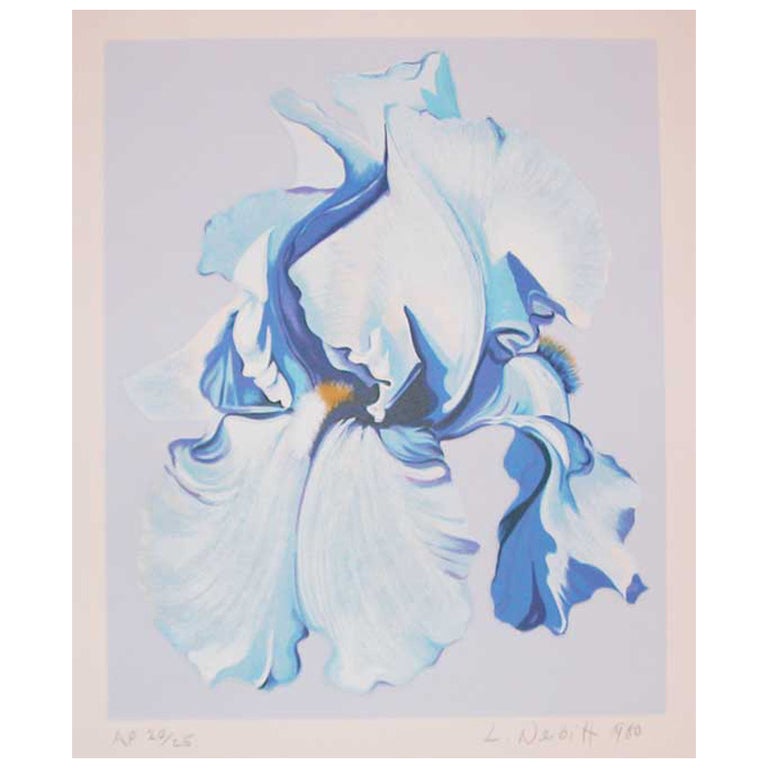 Pale Iris on White by Lowell Nesbitt For Sale