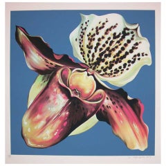 Lady Slipper Orchid by Lowell Nesbitt