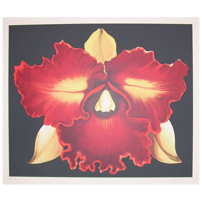 Orange Orchid by, Lowell Nesbitt For Sale
