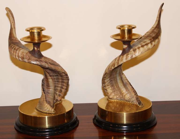 A wonderful pair of horn candlesticks by Anthony Redmile.