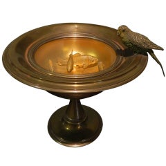 Vienna Bronze Parakeet on Fishbowl